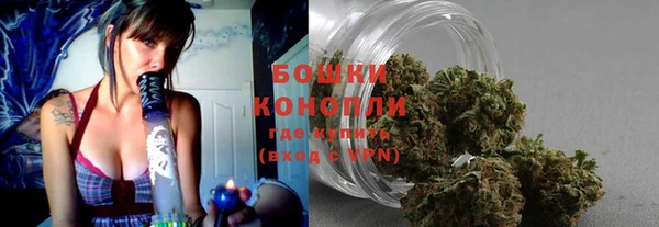 круглые Бронницы