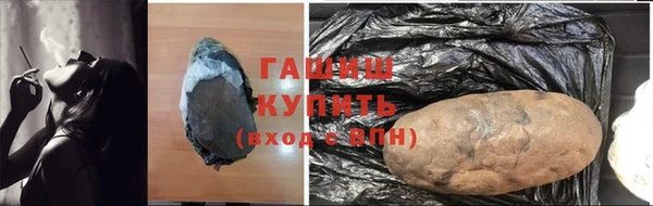 шишки Бородино