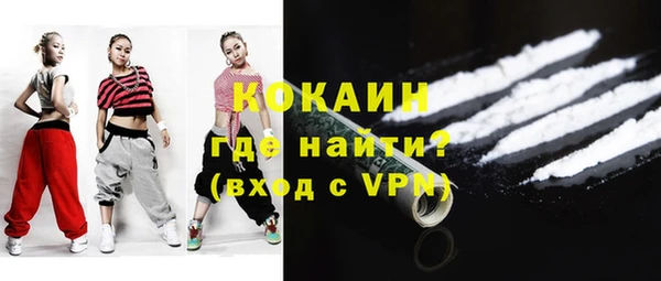 шишки Бородино