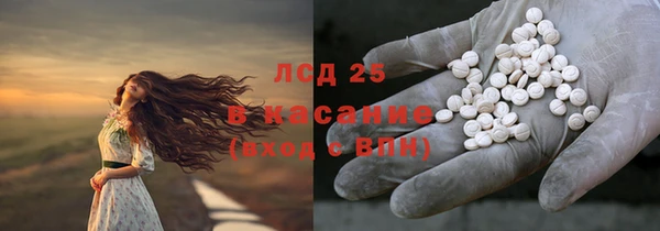 эйфоретик Каменногорск