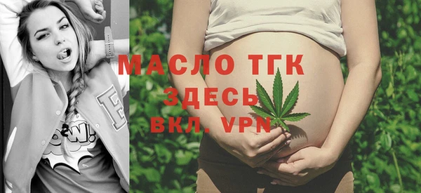 шишки Бородино